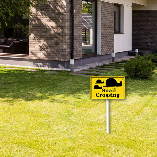 33 xcrose463xfe0414vw 1.png