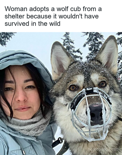 61251939 31c8 4eca a90d 51992cfd90d7.png