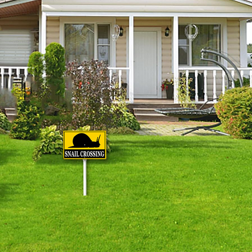 66 xcrose463xfe0414vw 10.png