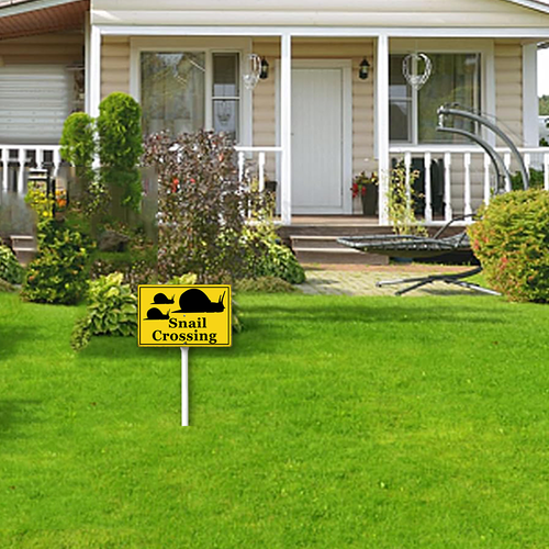 66 xcrose463xfe0414vw 1.png