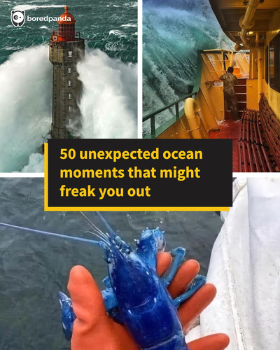 scary ocean creatures deep sea photos.jpg