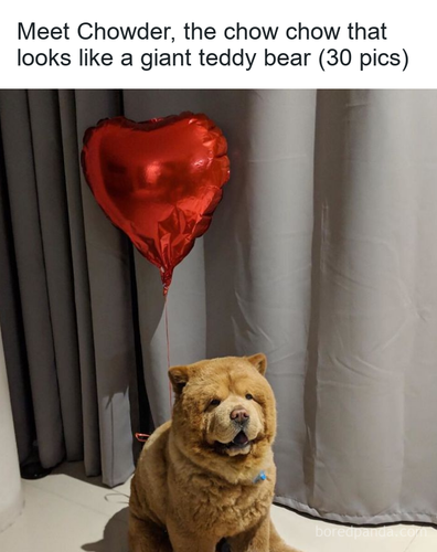 a6728b30 33e3 4ed9 9570 20d5c201a81a.png