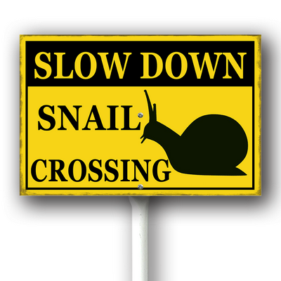 xcrose463xfe0414vw 2.png