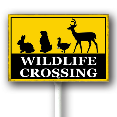 xcrose463xfe0414vw 12.png