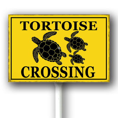 xcrose463xfe0414vw 7.png