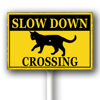 xcrose463xfe0414vw 3.png