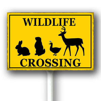 xcrose463xfe0414vw 14.png