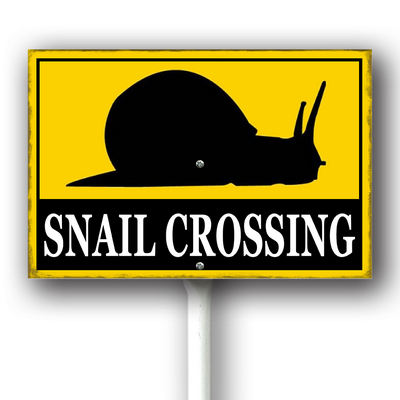 xcrose463xfe0414vw 10.png
