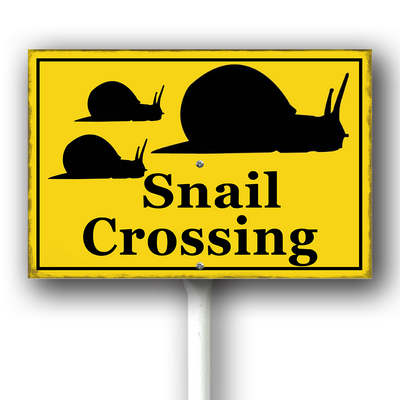 xcrose463xfe0414vw 1.png