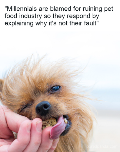 1bd5fe46 1dd7 4b50 9828 fbc7ee6d9a7f.png