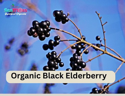 Organic Black Elderberry – Nature’s Defense.jpg