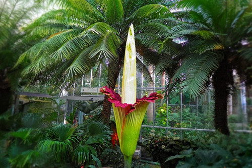 GoawhWZWoAAGl5u.jpg