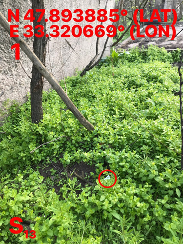 5465654319102684363.jpg