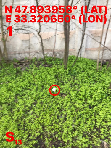 5465654319102684370.jpg