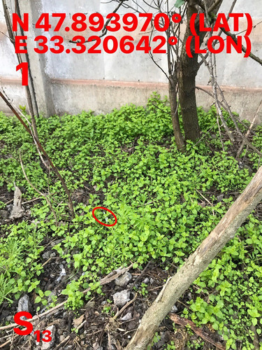 5465654319102684372.jpg