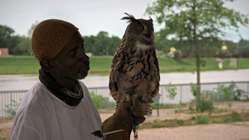 pets.2025.1080p.web.hevc.x265.rmteam.mkv snapshot 01.02.57.044.png