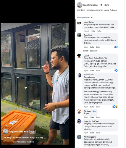 Screenshot 6.png