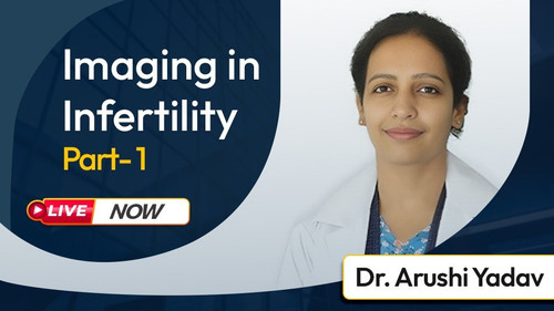 WhatsApp Image 2025 04 15 at 10.34.35 AM (1).jpg