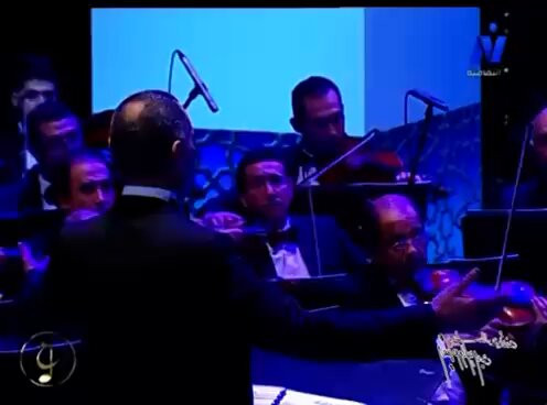 cY8anQ n0XvyRhVy.jpg