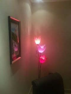 12067249 1758384191055493 894991459 n.jpg