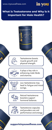 What is Testosterone and Why is It Important for Male Health.jpg