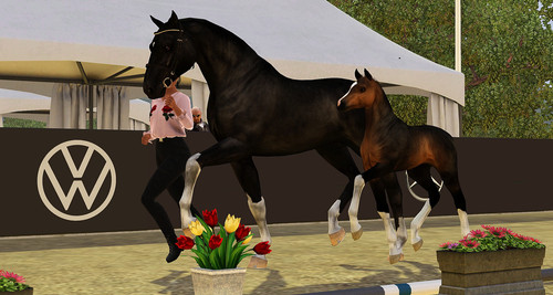 Grace Frühlingsfohlenshow.jpg