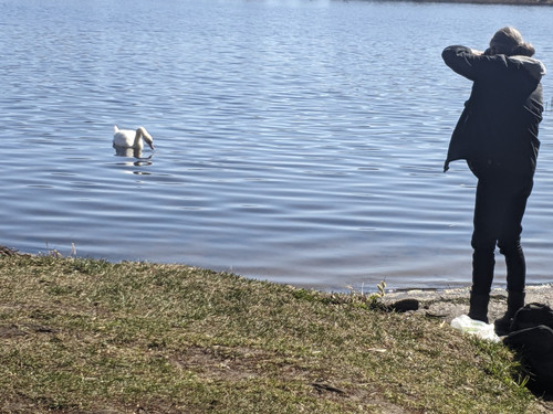 PXL 20250413 132226344.MV