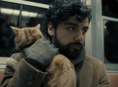 tumblr e9a8cea64298cdf386e46bffc2400b05 362b5b10 540.gif