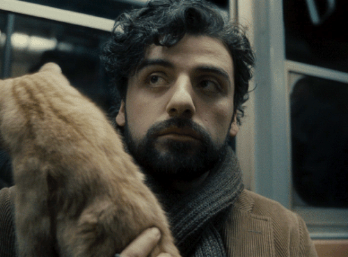 tumblr 017fb5e342217b26ce54ba0eef71fc41 0ce27e1d 540.gif