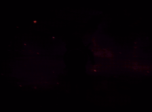 tumblr 48ee78a2a853a8a3a76c1132410603da 1ff74445 540.gif