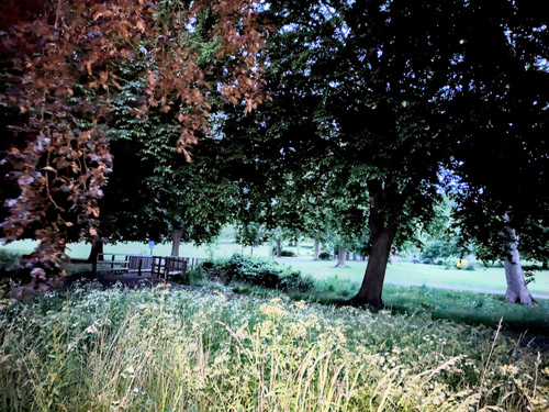 PXL_20250527_032741456-EDIT.jpg
