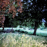 PXL_20250527_032741456-EDIT