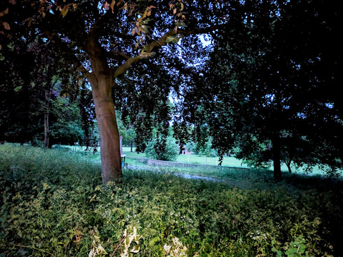 PXL_20250527_032638083-EDIT.jpg