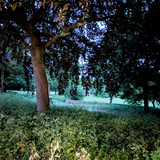 PXL_20250527_032638083-EDIT