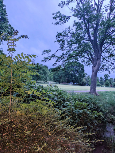 PXL_20250527_033222783.jpg