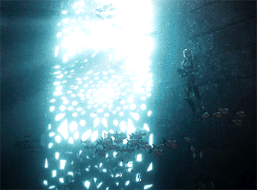 tumblr f4cc430669da591a17383f628dfe7e19 1b43ae91 540.gif