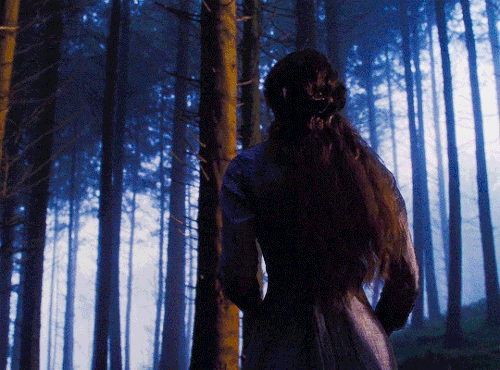 tumblr b1ee57065230f5771bcc854e87c29bd1 13a55eef 540.gif