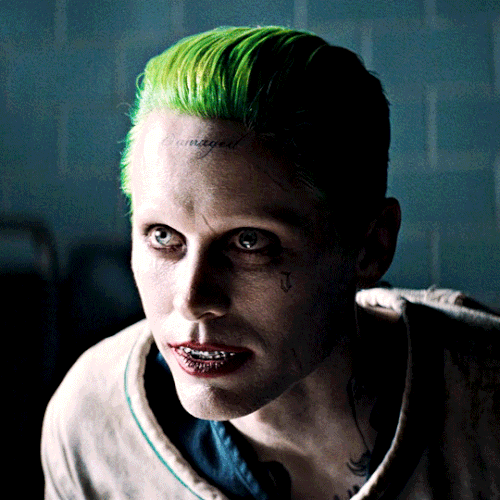 tumblr f2952091f07f12314c178f59f1edaad6 3c11e5c6 540.gif