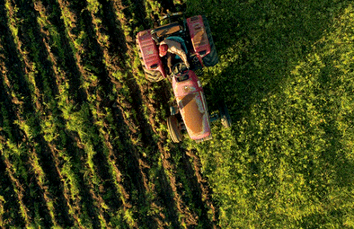 tumblr aff38399ff9b11acbe371df3ff3a548b 78a5972e 540.gif