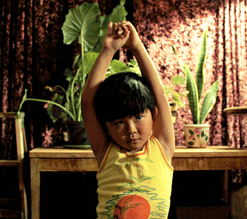 tumblr 3315a413d0407808e45763148aea111f 4aa72841 540.gif