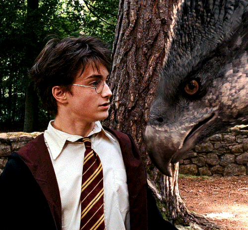 tumblr fdc47172292e3e2970b73ce5450b200e 23a60467 540.gif