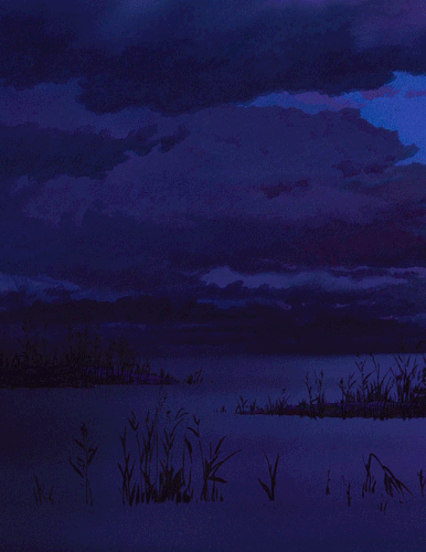 tumblr 20fabeecbf3016ce58707f32a1826390 1d31a254 540.gif