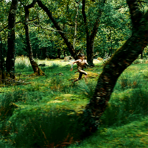 tumblr 30989fcdf7846d53fbd9ef2dc74146b4 f1895eb9 540.gif