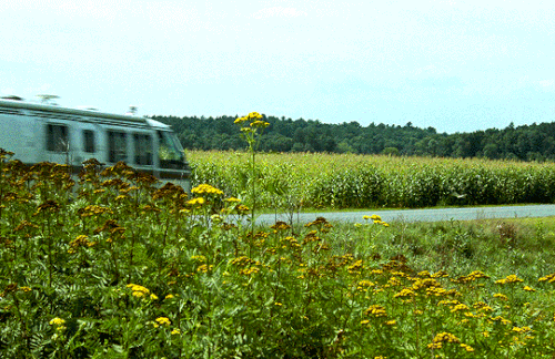 tumblr b59faf8c4fff43e105cb7bb3babb5f5d 19fcd479 540.gif