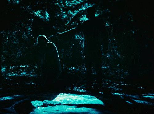 tumblr 455139b41de21aaff255f6947ef21347 b2c74f94 540.gif