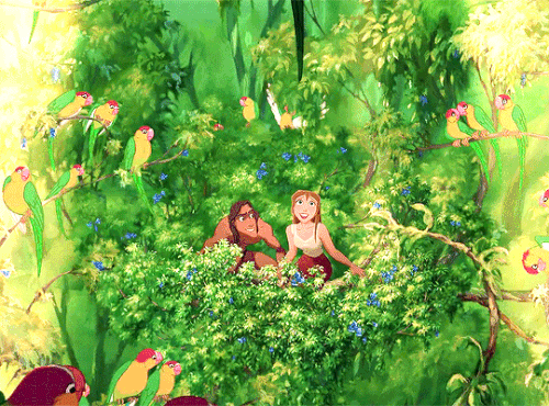 tumblr 25bf334ce58e50d5d8d7ac265cf6be18 2b8ae8ec 540.gif