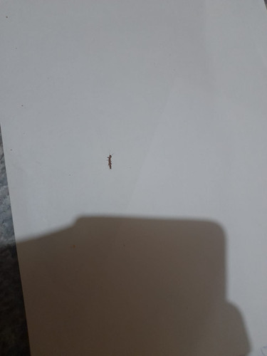 IMG 20240907 WA0037.jpg