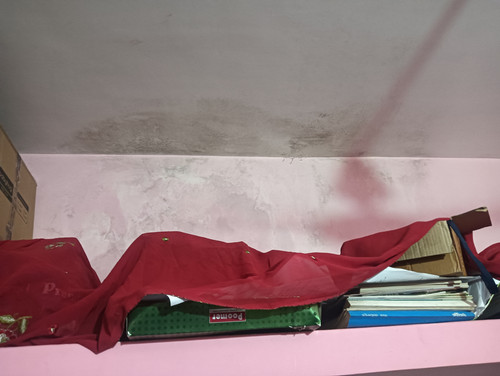 IMG20241103232319.jpg