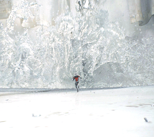 tumblr ac383460ab437e92d3e44386db0db563 b494631a 540.gif