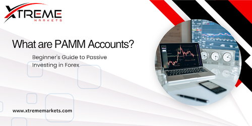 PAMM Accounts Explained A Beginner's Guide to Passive Investing in Forex.png